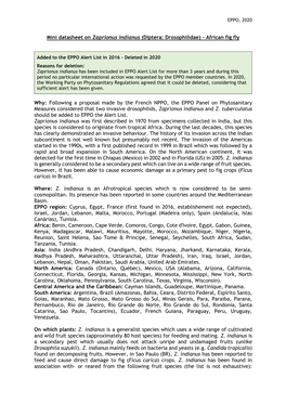 Mini Datasheet on Zaprionus Indianus (Diptera: Drosophilidae) – African Fig Fly