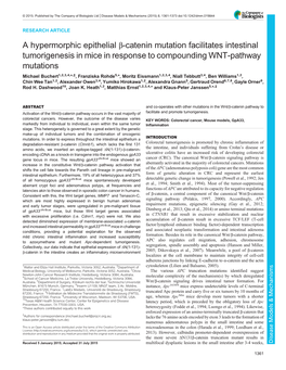 A Hypermorphic Epithelial Β-Catenin