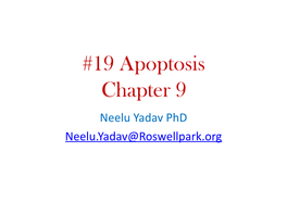 19 Apoptosis Chapter 9 Neelu Yadav Phd Neelu.Yadav@Roswellpark.Org Why Cells Decide to Die? - Stress, Harmful, Not Needed - Completed Its Life Span