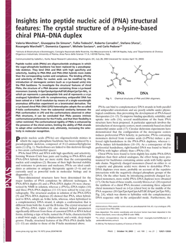 The Crystal Structure of a D-Lysine-Based Chiral PNA–DNA Duplex