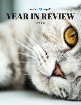 Year in Review 2015