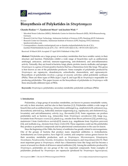 Biosynthesis of Polyketides in Streptomyces