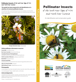 Pollinator Insects