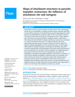 Shape of Attachment Structures in Parasitic Isopodan Crustaceans: the Inﬂuence of Attachment Site and Ontogeny