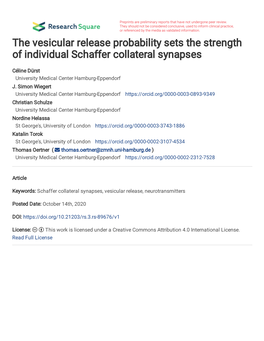 The Vesicular Release Probability Sets the Strength of Individual Schaffer Collateral Synapses