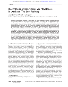 Biosynthesis of Isoprenoids Via Mevalonate in Archaea: the Lost Pathway