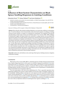 Influence of Root System Characteristics on Black Spruce