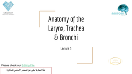 Anatomy of the Larynx, Trachea & Bronchi