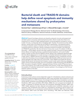 N Domains Help Define Novel Apoptosis and Immunity