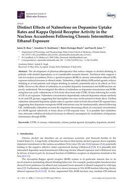 Distinct Effects of Nalmefene on Dopamine Uptake Rates and Kappa Opioid Receptor Activity in the Nucleus Accumbens Following Chronic Intermittent Ethanol Exposure