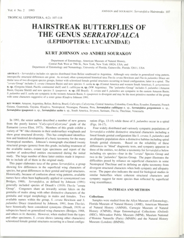 Hairstreak Butterflies of the Genus Serratofalca (Lepidoptera: Lycaenidae)