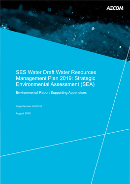 Strategic Environmental Assessment (SEA)