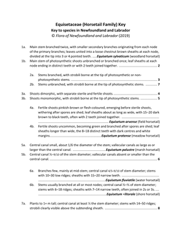 Equisetaceae Key & Charts