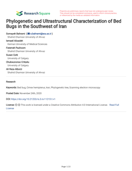 Phylogenetic and Ultrastructural Characterization of Bed Bugs in the Southwest of Iran