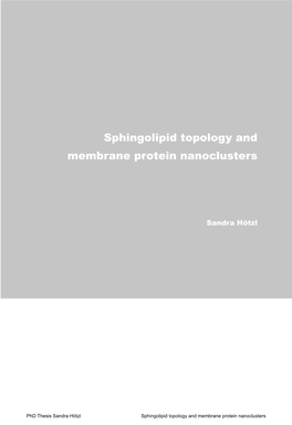 Sphingolipid Topology and Membrane Protein Nanoclusters