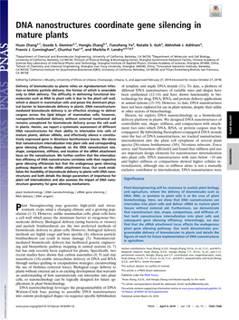 DNA Nanostructures Coordinate Gene Silencing in Mature Plants