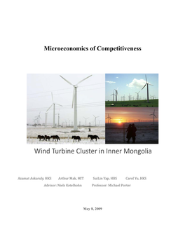 Wind Turbine Cluster in Inner Mongolia