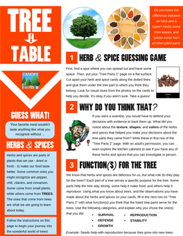 Table Herb & Spice Guessing Game 2 Why Do You Think