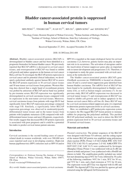 Bladder Cancer-Associated Protein Is Suppressed in Human Cervical Tumors