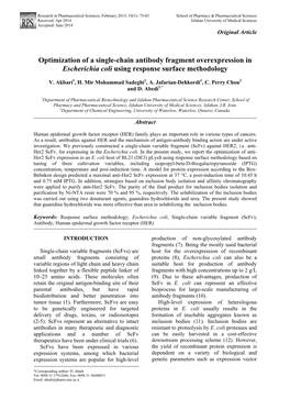 Optimization of a Single-Chain Antibody Fragment Overexpression in Escherichia Coli Using Response Surface Methodology