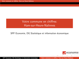 Votre Commune En Chiffres: Ham-Sur-Heure-Nalinnes