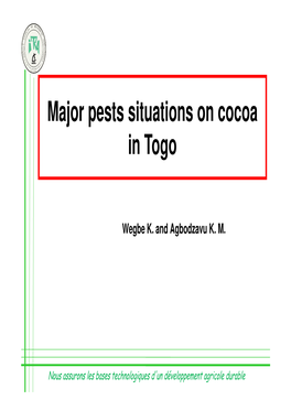 Major Pests Situations on Cocoa in Togo