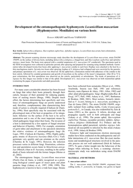 Development of the Entomopathogenic Hyphomycete Lecanicillium Muscarium (Hyphomycetes: Moniliales) on Various Hosts