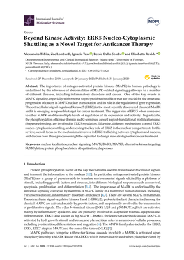 Beyond Kinase Activity: ERK5 Nucleo-Cytoplasmic Shuttling As a Novel Target for Anticancer Therapy