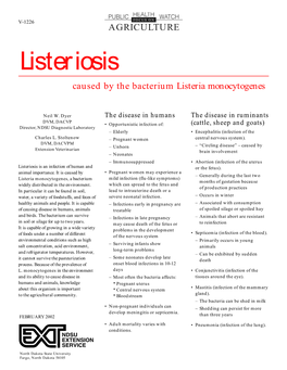Listeriosis Caused by the Bacterium Listeria Monocytogenes