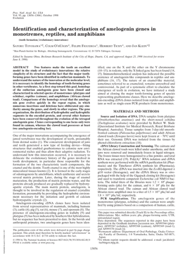 Identification and Characterization of Amelogenin Genes in Monotremes, Reptiles, and Amphibians (Tooth Formation͞evolutionary Innovations)