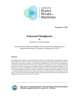 Universal Metaphysics by Qianli Liao and Tomaso Poggio