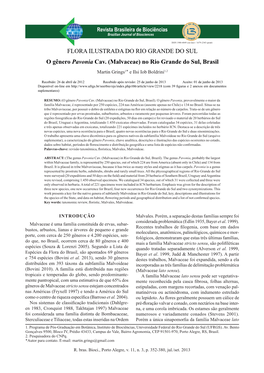 FLORA ILUSTRADA DO RIO GRANDE DO SUL O Gênero Pavonia Cav. (Malvaceae) No Rio Grande Do Sul, Brasil Martin Grings1* E Ilsi Iob Boldrini1,2