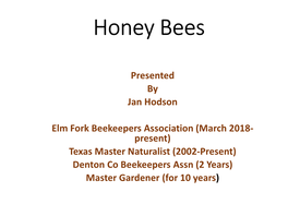 Honey & Other Bee Products