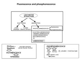 Fluorescence and Phosphorescence Possible De-Excitation Pathways of Excited Molecules