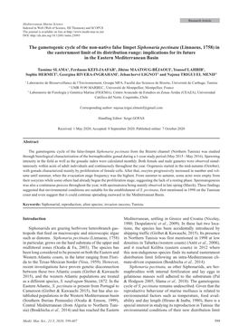 The Gametogenic Cycle of the Non-Native False Limpet Siphonaria