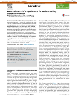 Xenacoelomorpha's Significance for Understanding Bilaterian