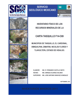 SERVICIO GEOLÓGICO MEXICANO Carta Inventario Minero Tasquillo