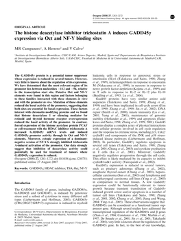 The Histone Deacetylase Inhibitor Trichostatin a Induces Gadd45c Expression Via Oct and NF-Y Binding Sites