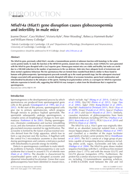 Gene Disruption Causes Globozoospermia and Infertility in Male Mice