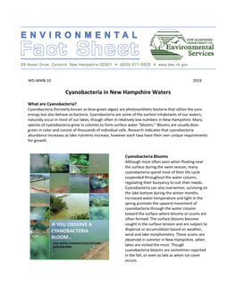 Potential Dangers of Cyanobacteria in New Hampshire Waters