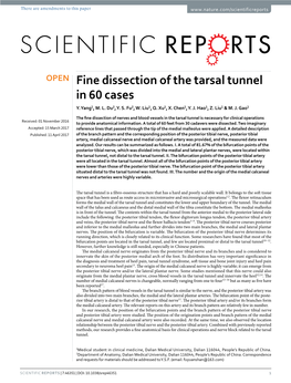 Fine Dissection of the Tarsal Tunnel in 60 Cases Y