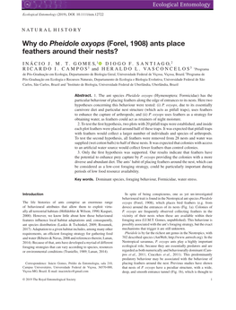 Why Do Pheidole Oxyops (Forel, 1908) Ants Place Feathers Around Their Nests?