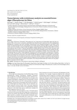 Transcriptome-Wide Evolutionary Analysis on Essential Brown Algae