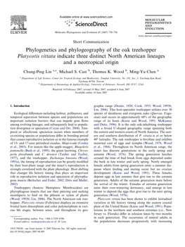 Phylogenetics and Phylogeography of the Oak Treehopper Platycotis Vittata Indicate Three Distinct North American Lineages and a Neotropical Origin