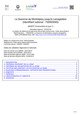La Garonne De Montréjeau Jusqu'à Lamagistère (Identifiant National : 730003045)