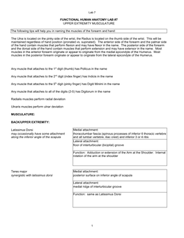Functional Human Anatomy Lab #7 Upper Extremity Musculature