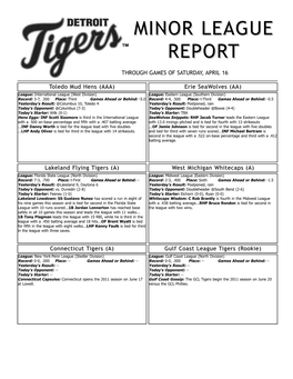 Minor League Report Layout 1