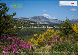 Rapport D'activité 2019 Office De Tourisme Intercommunal Du Pays