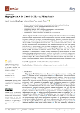 Hypoglycin a in Cow's Milk—A Pilot Study