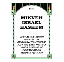 Mikveh Israel Hashem